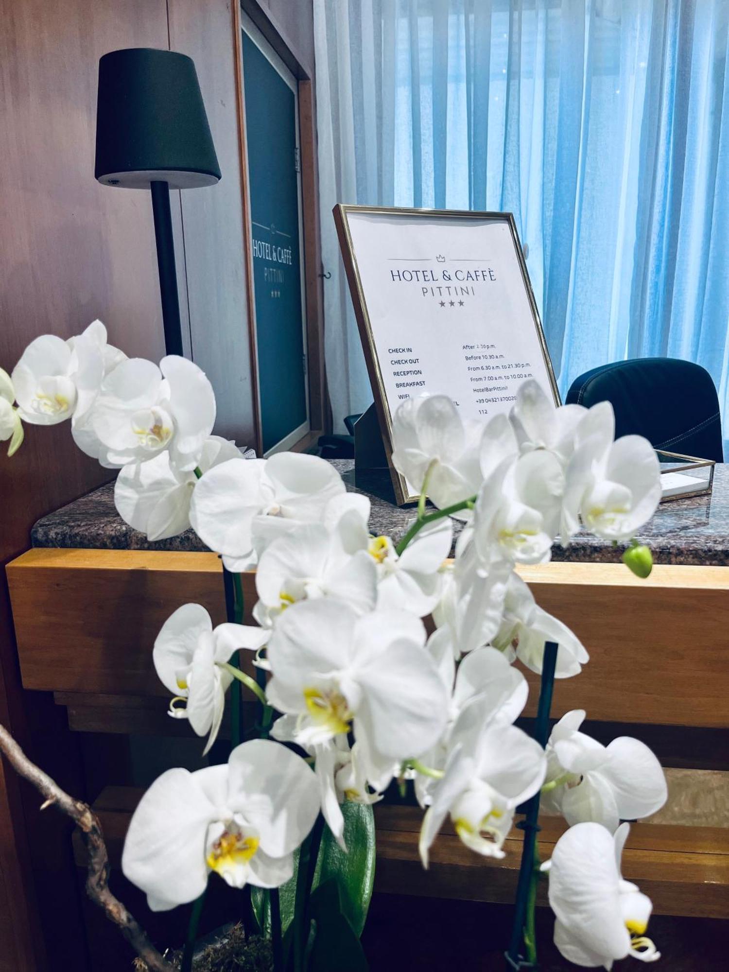 Hotel Pittini Джемона-дель-Фріулі Екстер'єр фото